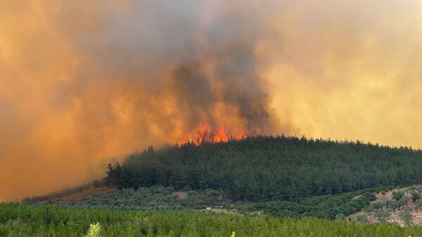 Bursa yangın - Sputnik Türkiye