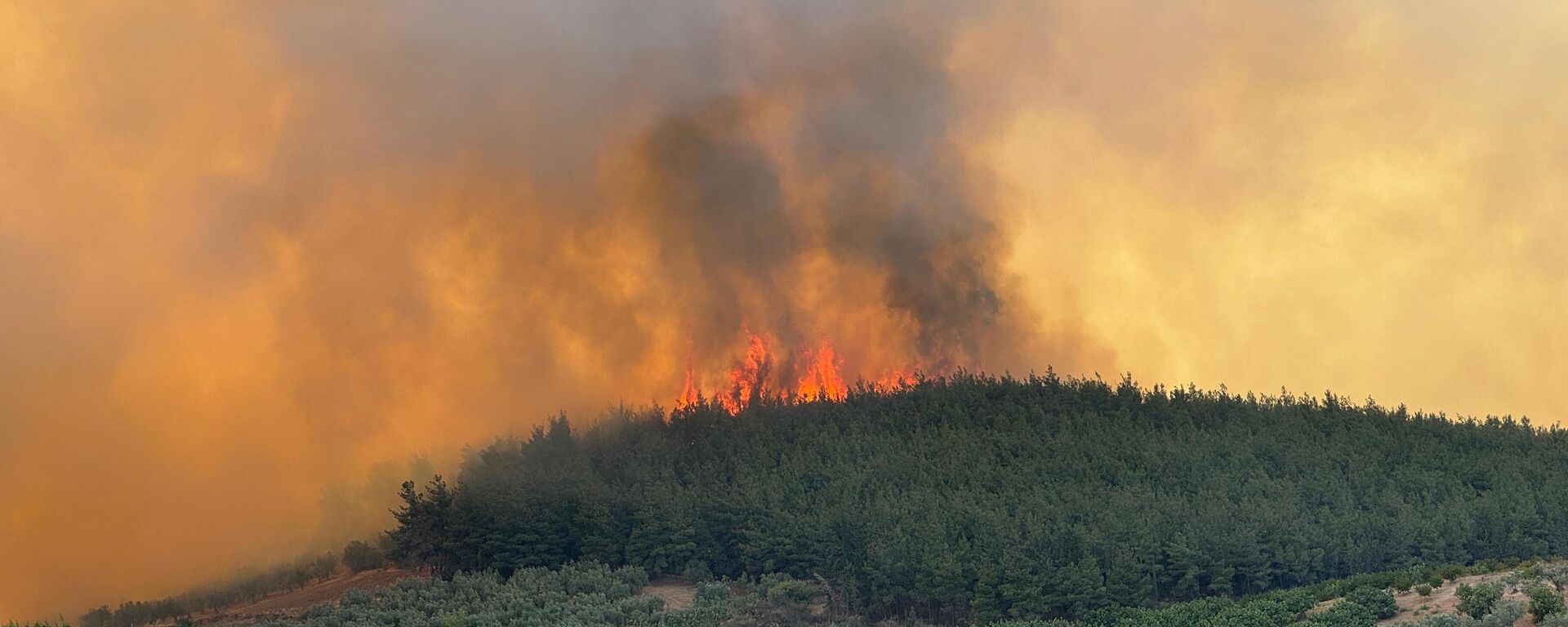 Bursa yangın - Sputnik Türkiye, 1920, 05.09.2025