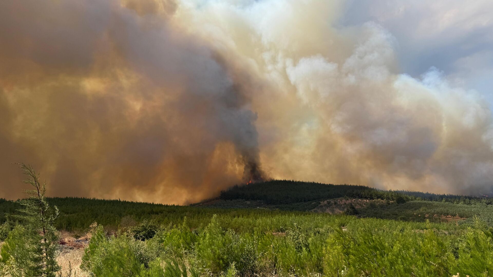 Bursa yangın - Sputnik Türkiye, 1920, 05.09.2025