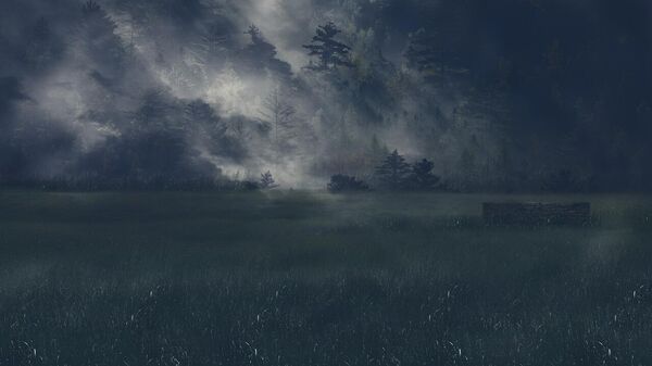 Dört yıl boyunca çocuklarıyla kayıptı: Ormanda görüntülenen baba polisle çatışmada öldürüldü - Sputnik Türkiye