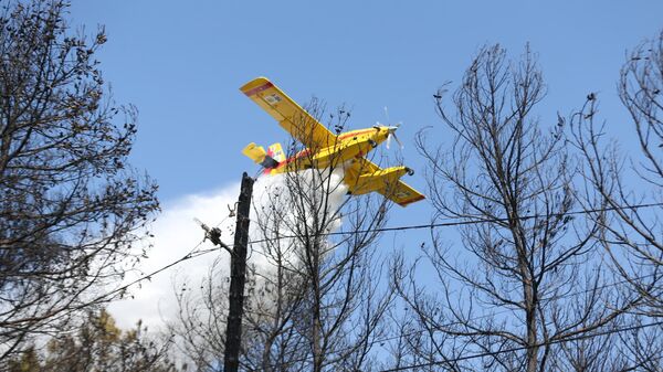 Çanakkale'de ormanlık alanda çıkan yangın kontrol altına alındı - Sputnik Türkiye