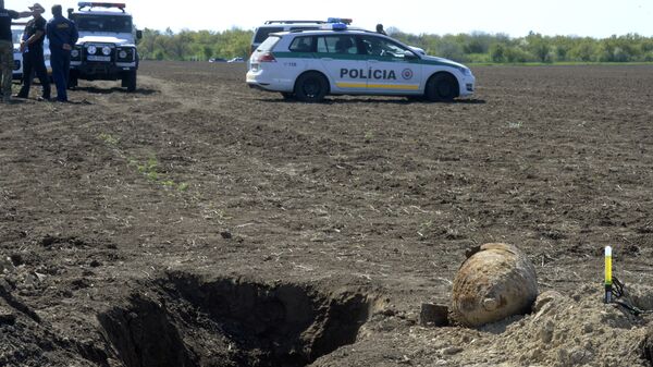 Unexploded World War II bomb lies on the field near the town of Sturovo, Slovakia - Sputnik Türkiye