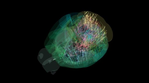Beyin Haritası - Sputnik Türkiye