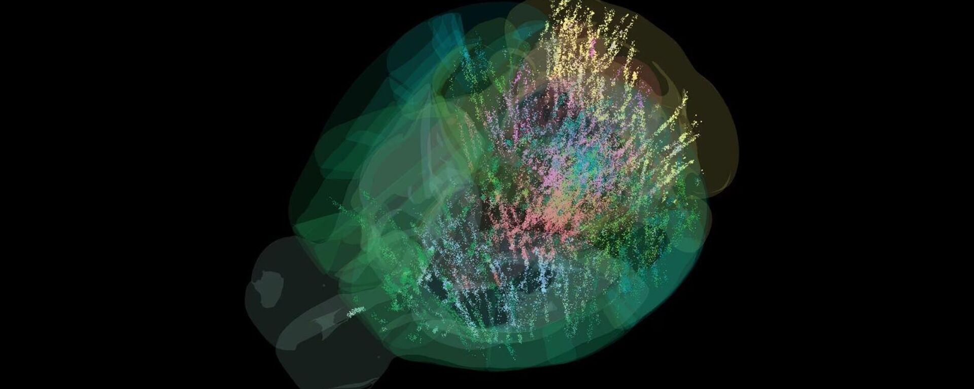 Beyin Haritası - Sputnik Türkiye, 1920, 10.09.2025