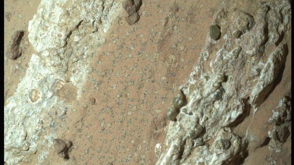 Yaşam belirtisi olan kaya - Sputnik Türkiye