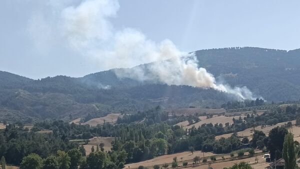 Denizli - Sputnik Türkiye