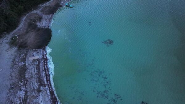 Terkos Barajı'nda suyun bazı bölümleri renk değiştirirken kıyı kesimlerinde köpükler görüldü - Sputnik Türkiye