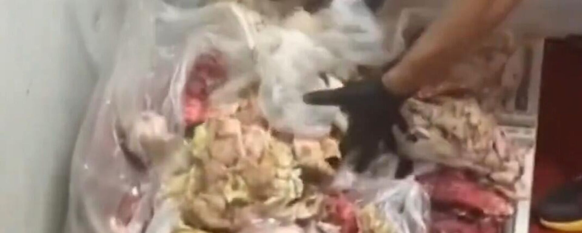 Bozuk tavuk - Sputnik Türkiye, 1920, 12.09.2025