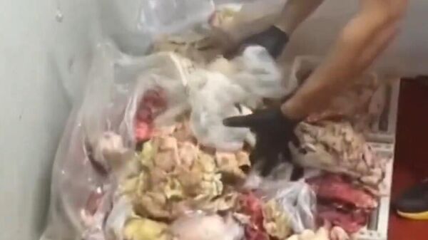 Bozuk tavuk - Sputnik Türkiye