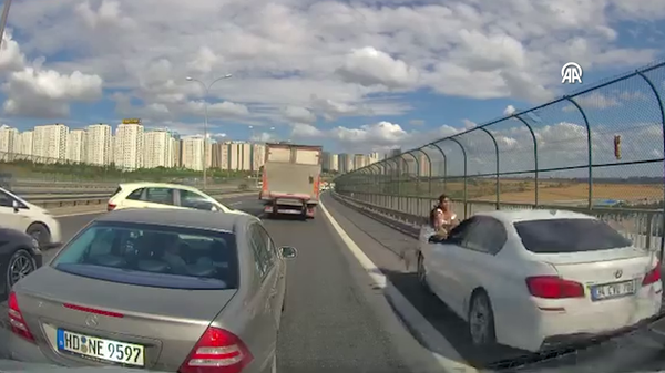 Otoyolda mahsur kalan kediyi kurtarmak istedi: Emniyet şeridindeki araç çarptı - Sputnik Türkiye