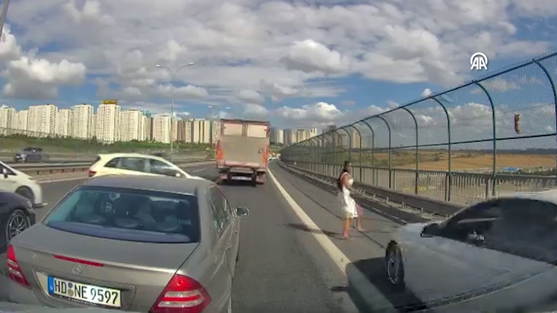 Otoyolda mahsur kalan kediyi kurtarmak istedi: Emniyet şeridindeki araç çarptı - Sputnik Türkiye, 1920, 14.09.2025