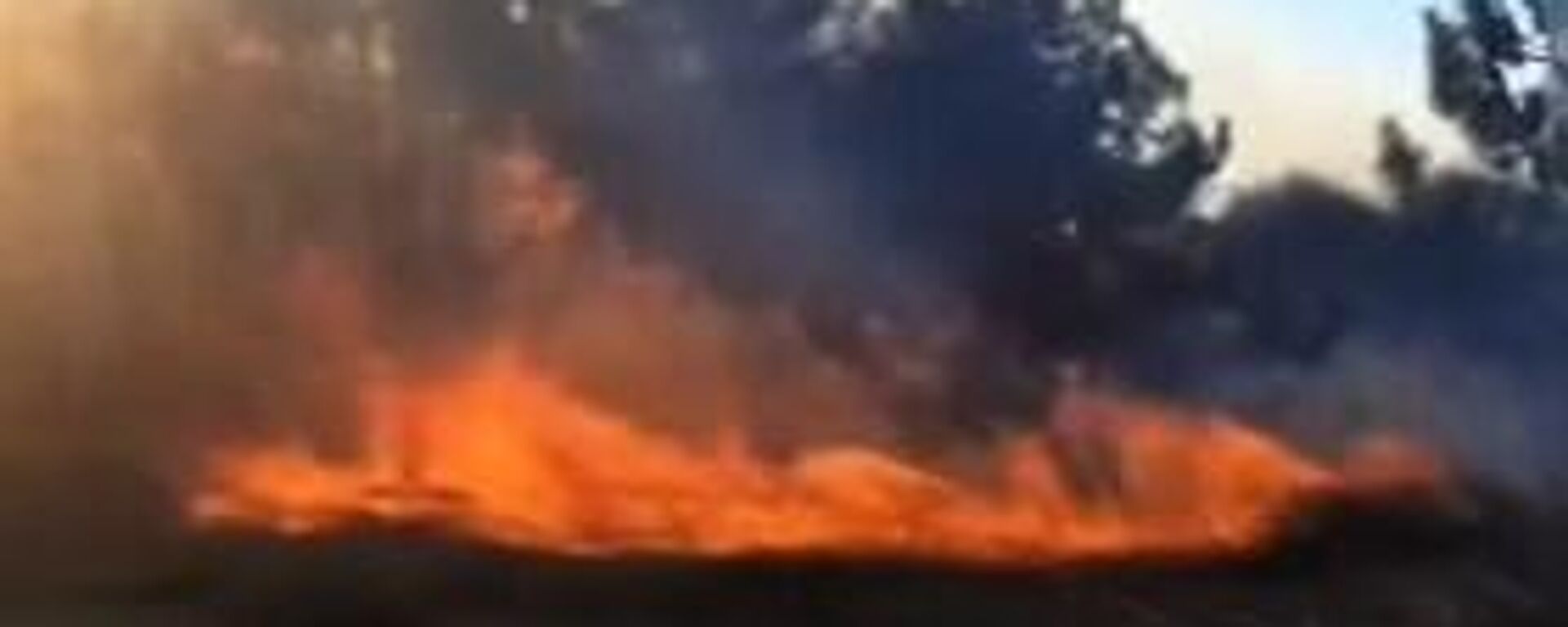 Mudanya - Sputnik Türkiye, 1920, 14.09.2025