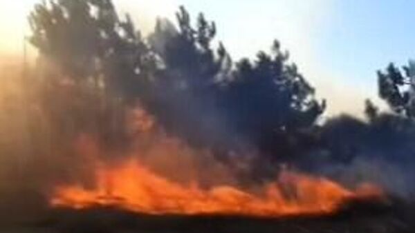 Mudanya - Sputnik Türkiye
