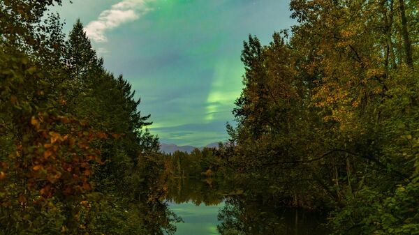 Alaska'da Kuzey Işıkları - Sputnik Türkiye