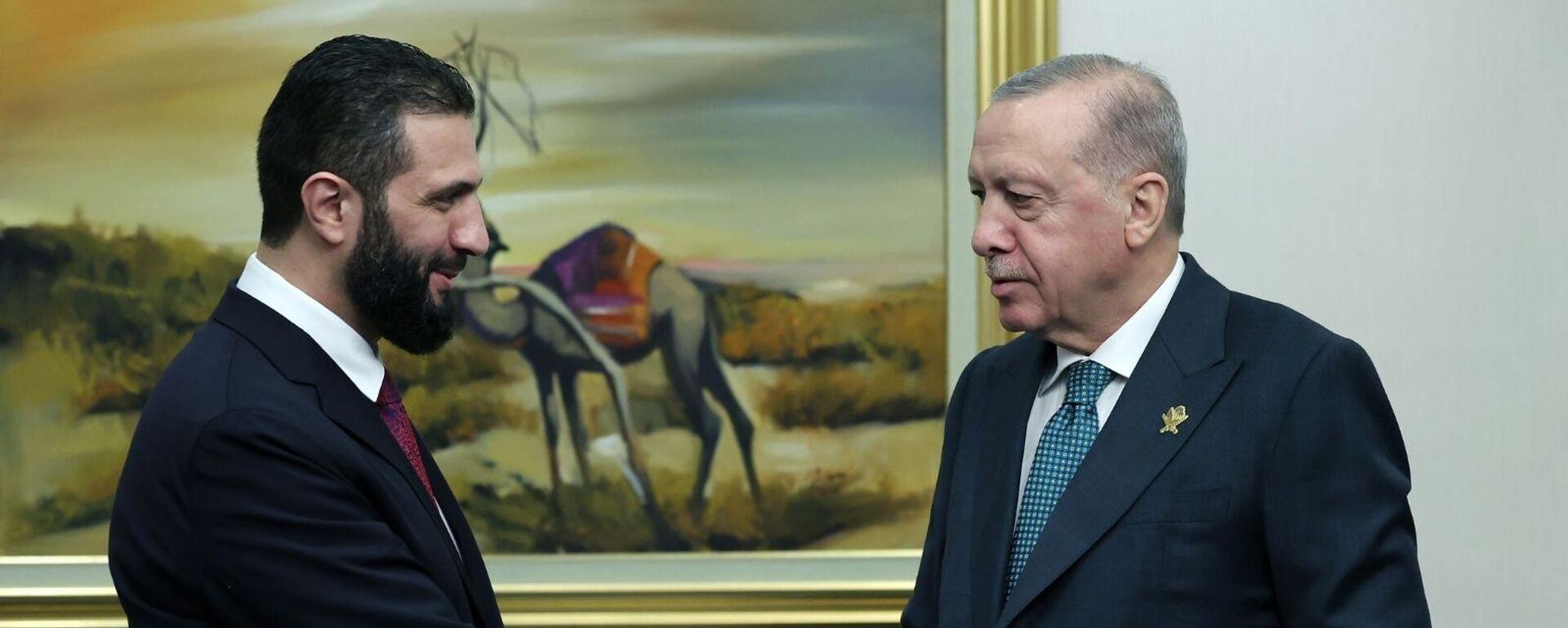 Ahmed Şara ve Recep Tayyip Erdoğan - Sputnik Türkiye, 1920, 15.09.2025