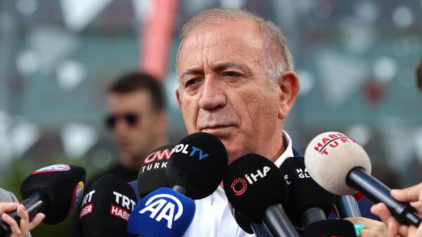 Gürsel Tekin - Sputnik Türkiye