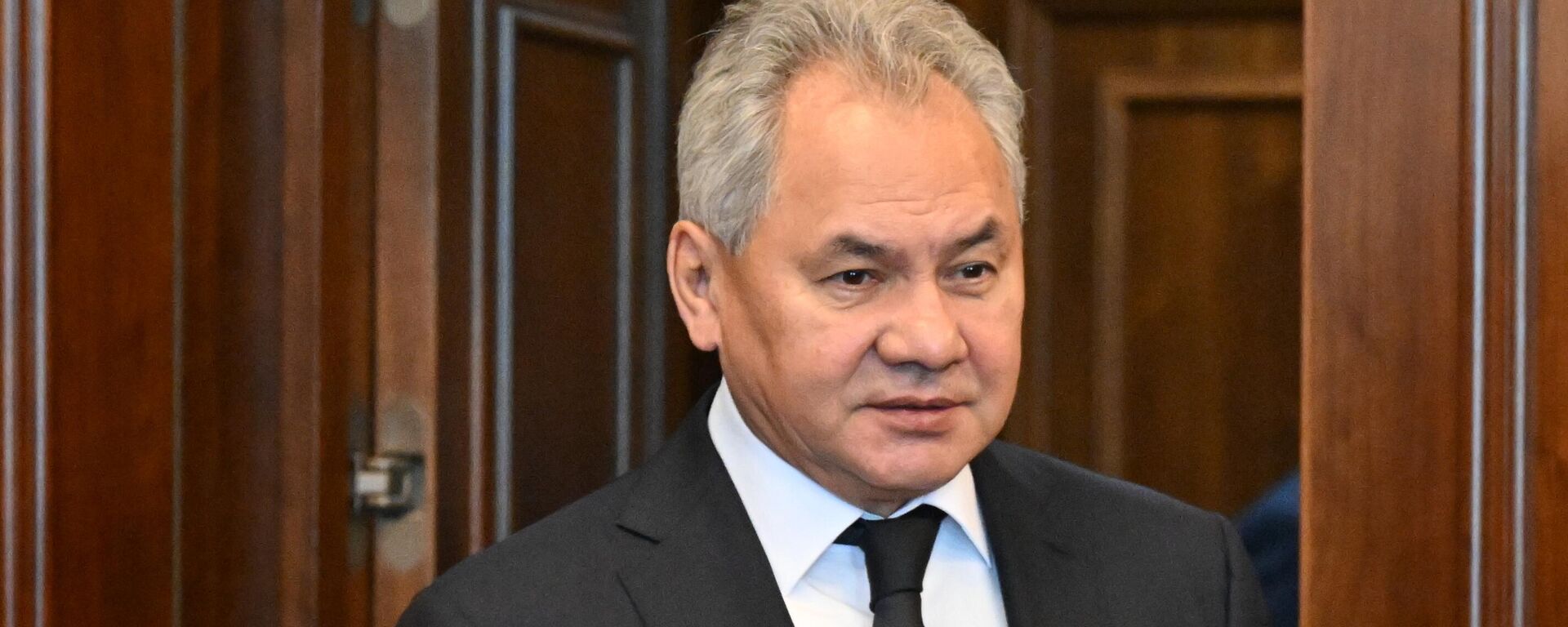 Rusya Güvenlik Konseyi Sekreteri Sergey Şoygu - Sputnik Türkiye, 1920, 16.09.2025