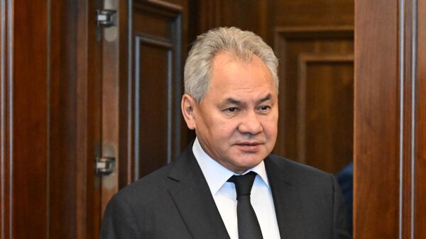 Rusya Güvenlik Konseyi Sekreteri Sergey Şoygu - Sputnik Türkiye