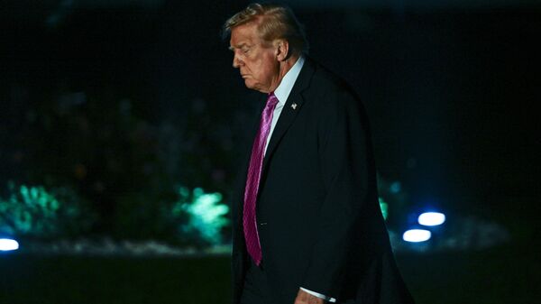 ABD Başkanı Donald Trump - Sputnik Türkiye