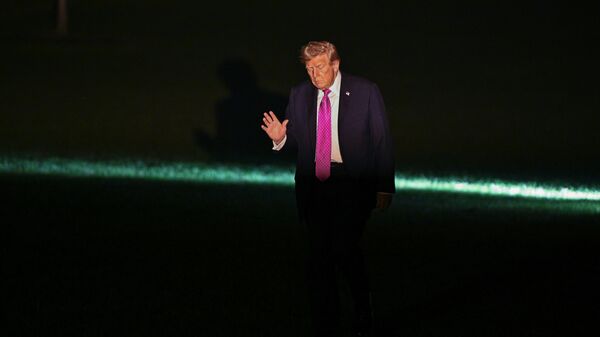 ABD Başkanı Donald Trump - Sputnik Türkiye