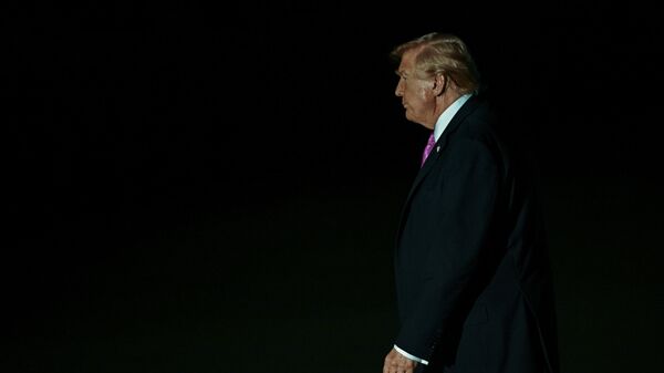 ABD Başkanı Donald Trump - Sputnik Türkiye