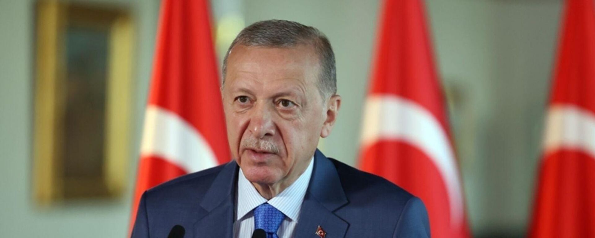 Recep Tayyip Erdoğan Recep Tayyip Erdoğan - Sputnik Türkiye, 1920, 24.11.2025