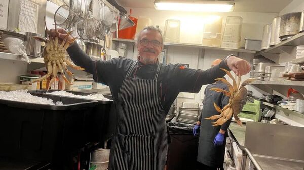 Valentino Luchin  - Sputnik Türkiye