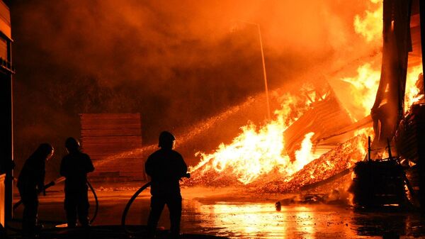 Samsun kereste fabrikası - Sputnik Türkiye