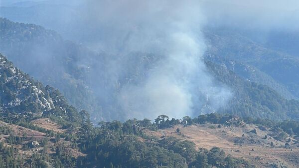 Köyceğiz orman yangını - Sputnik Türkiye