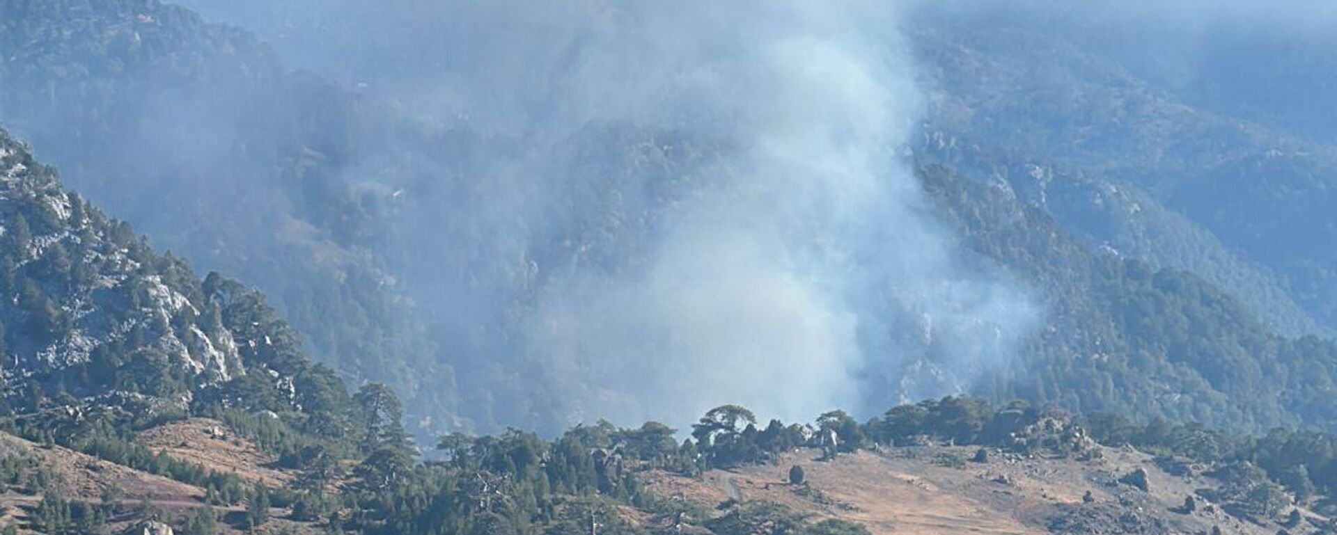 Köyceğiz orman yangını - Sputnik Türkiye, 1920, 17.09.2025