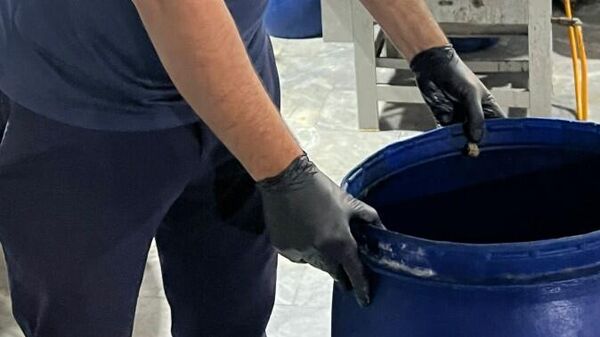 Süt - Sputnik Türkiye