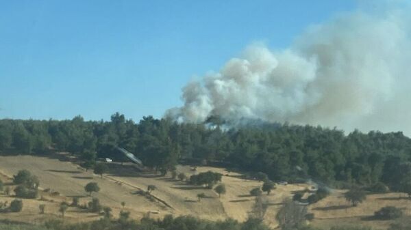 Çanakkale - Sputnik Türkiye