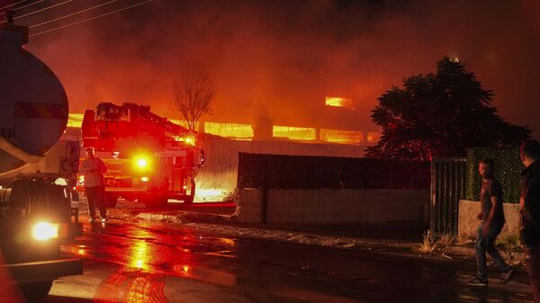 İzmir yangın - Sputnik Türkiye