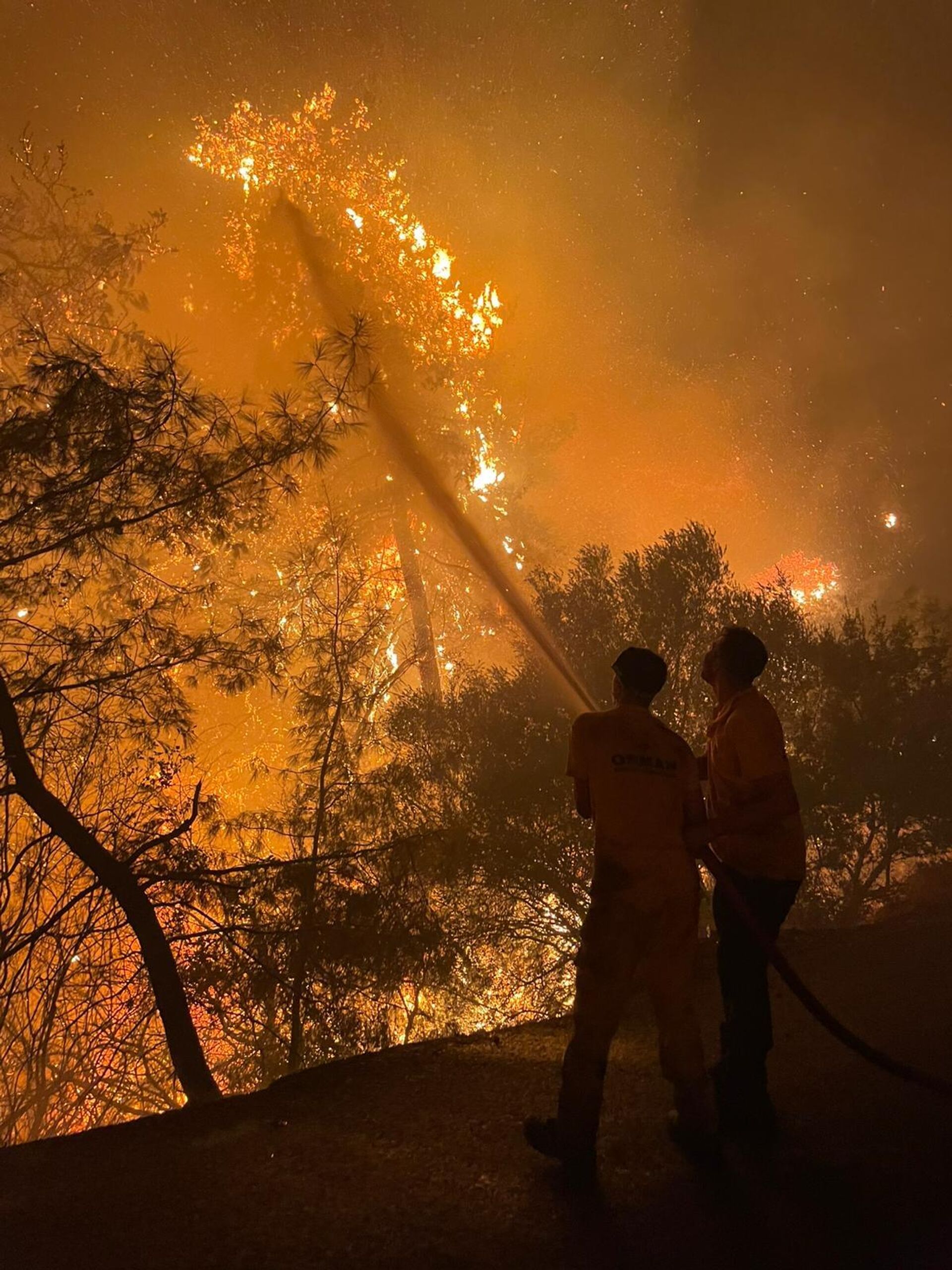 Milas orman yangını - Sputnik Türkiye, 1920, 19.09.2025