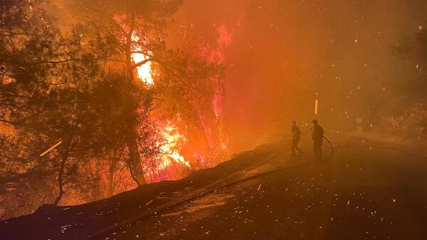 Milas orman yangını - Sputnik Türkiye