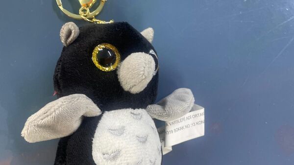 Toplatma kararı verilen oyuncak - Sputnik Türkiye