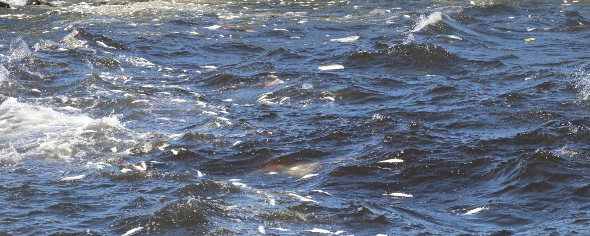 İzmir - Sputnik Türkiye, 1920, 19.09.2025