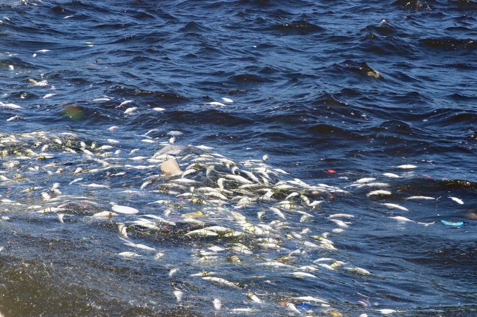 İzmir - Sputnik Türkiye, 1920, 19.09.2025