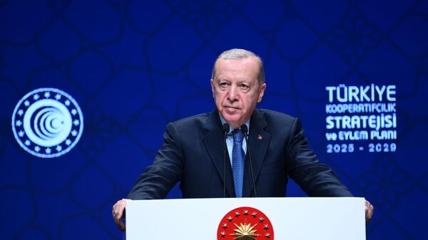 Cumhurbaşkanı Erdoğan - Sputnik Türkiye