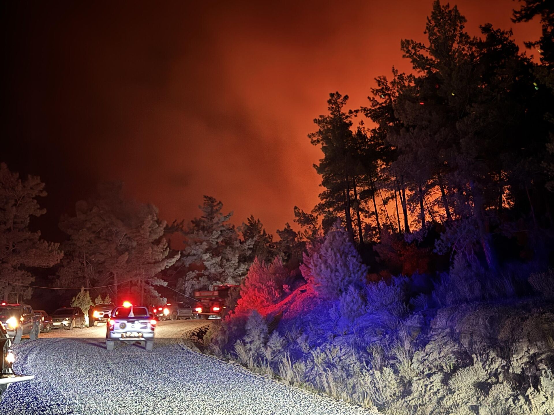 orman yangını - Sputnik Türkiye, 1920, 20.09.2025