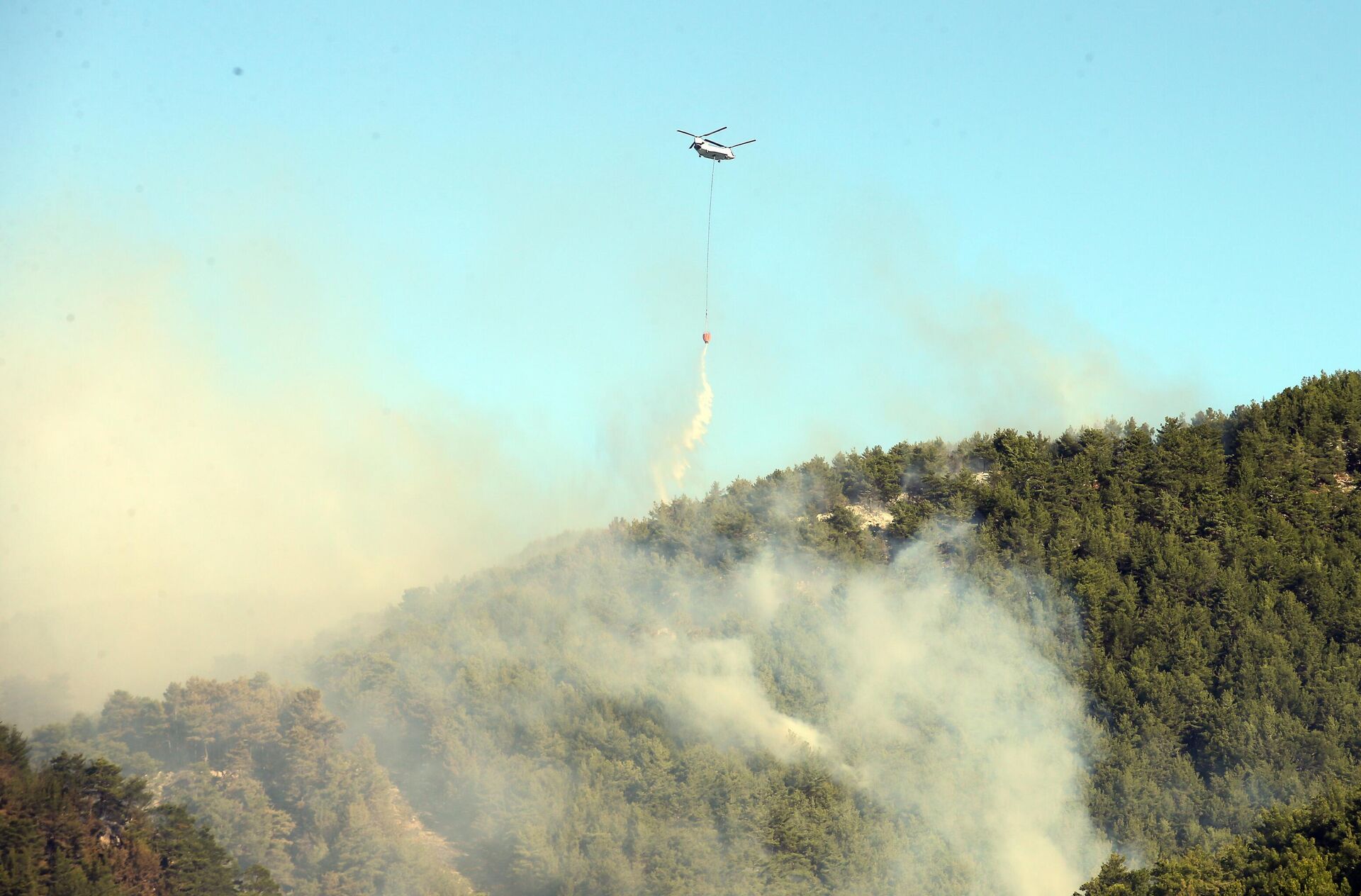 orman yangını - Sputnik Türkiye, 1920, 20.09.2025