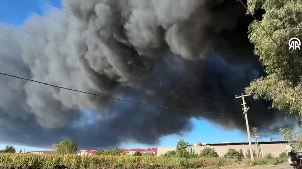 Adana'da fabrika yangını - Sputnik Türkiye