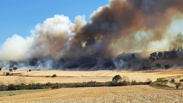 Çanakkale'nin Ezine ilçesinde zeytinlikten ormana sıçrayan yangına havadan ve karadan müdahale ediliyor.  - Sputnik Türkiye