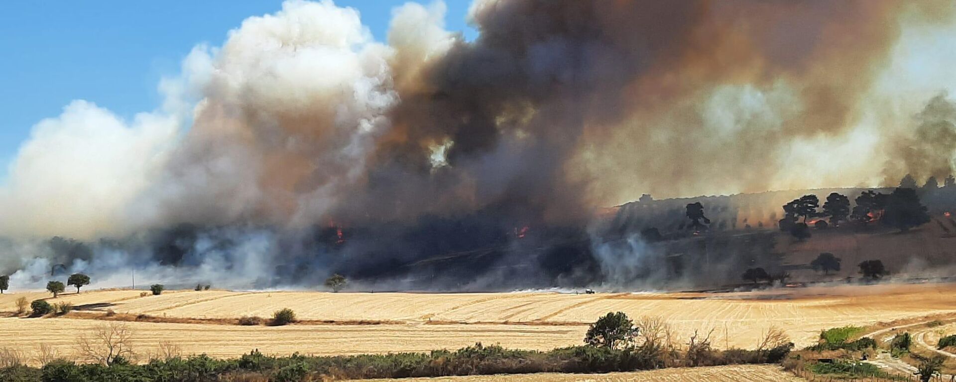 Çanakkale'nin Ezine ilçesinde zeytinlikten ormana sıçrayan yangına havadan ve karadan müdahale ediliyor.  - Sputnik Türkiye, 1920, 21.09.2025