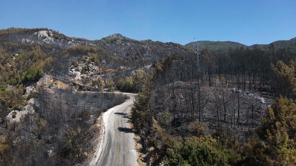 Muğla’nın Köyceğiz ilçesinde orman yangınında zarar gören alanlar havadan görüntülendi - Sputnik Türkiye