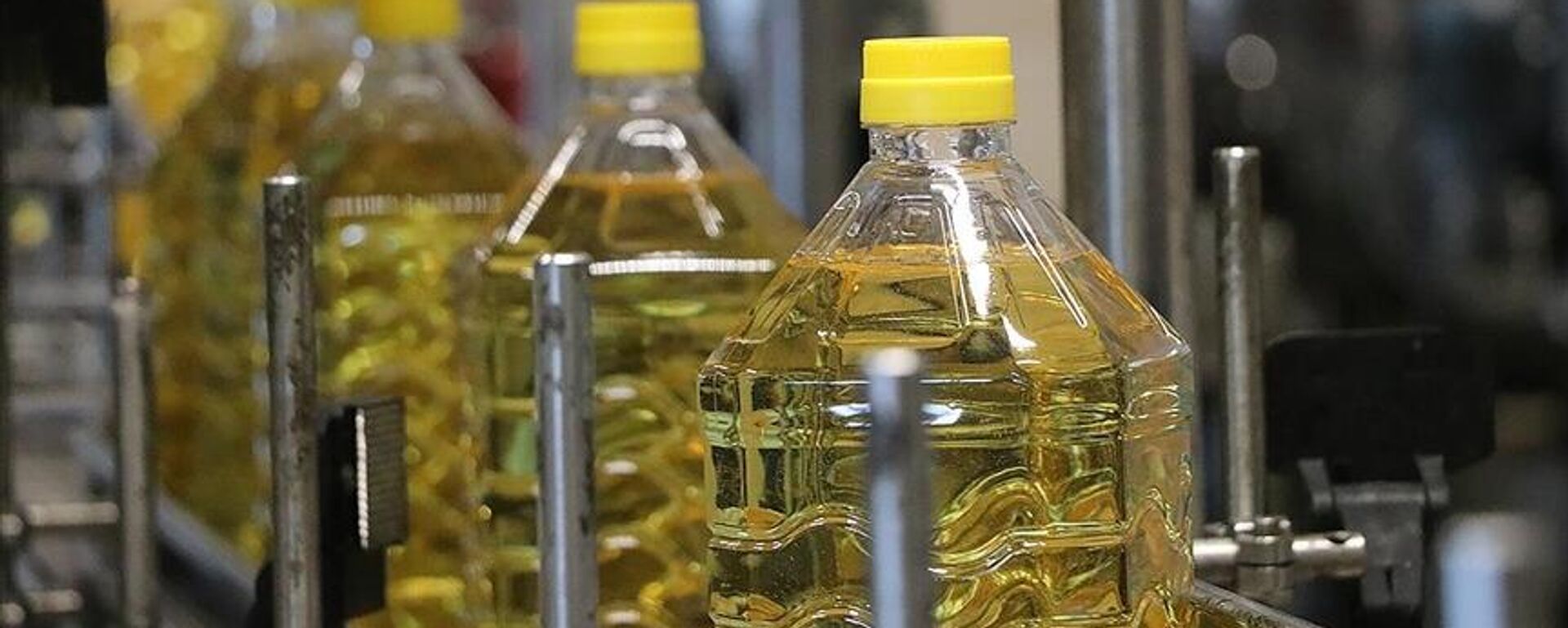 Ay çiçek yağı - Sputnik Türkiye, 1920, 22.09.2025