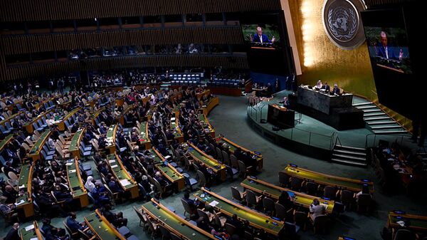 Birleşmiş Milletler (BM) - Sputnik Türkiye