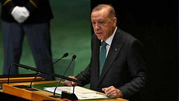 Cumhurbaşkanı Erdoğan - Sputnik Türkiye