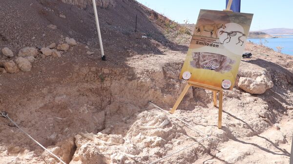 Kayseri - Sputnik Türkiye