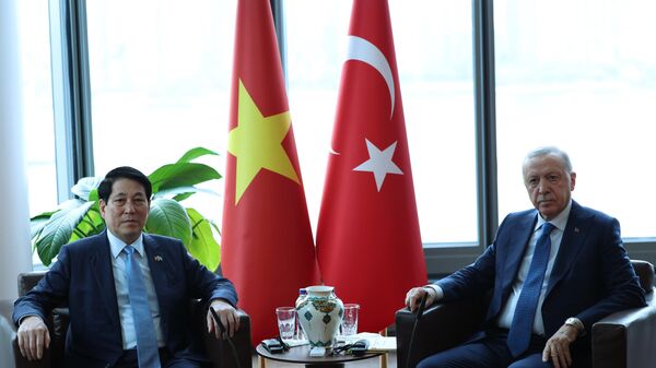 Recep Tayyip Erdoğan -  Luong Cuong - Sputnik Türkiye